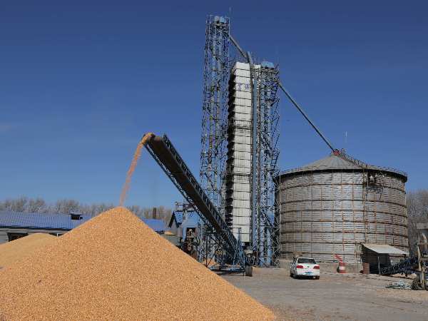 燒煤改燒秸稈大包直燃熱風(fēng)爐，烘干成本省一半