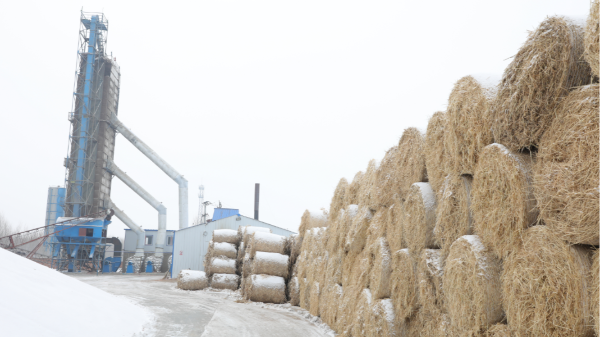 煤炭價(jià)格高，烘糧利潤低，吉林大安市500噸糧食烘干塔改用秸稈大包直燃鍋爐，每天省3萬